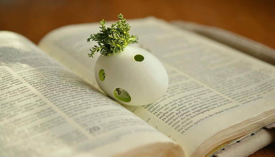 Paaszoektocht open Bijbel waar een ei waarin een plantje groeit